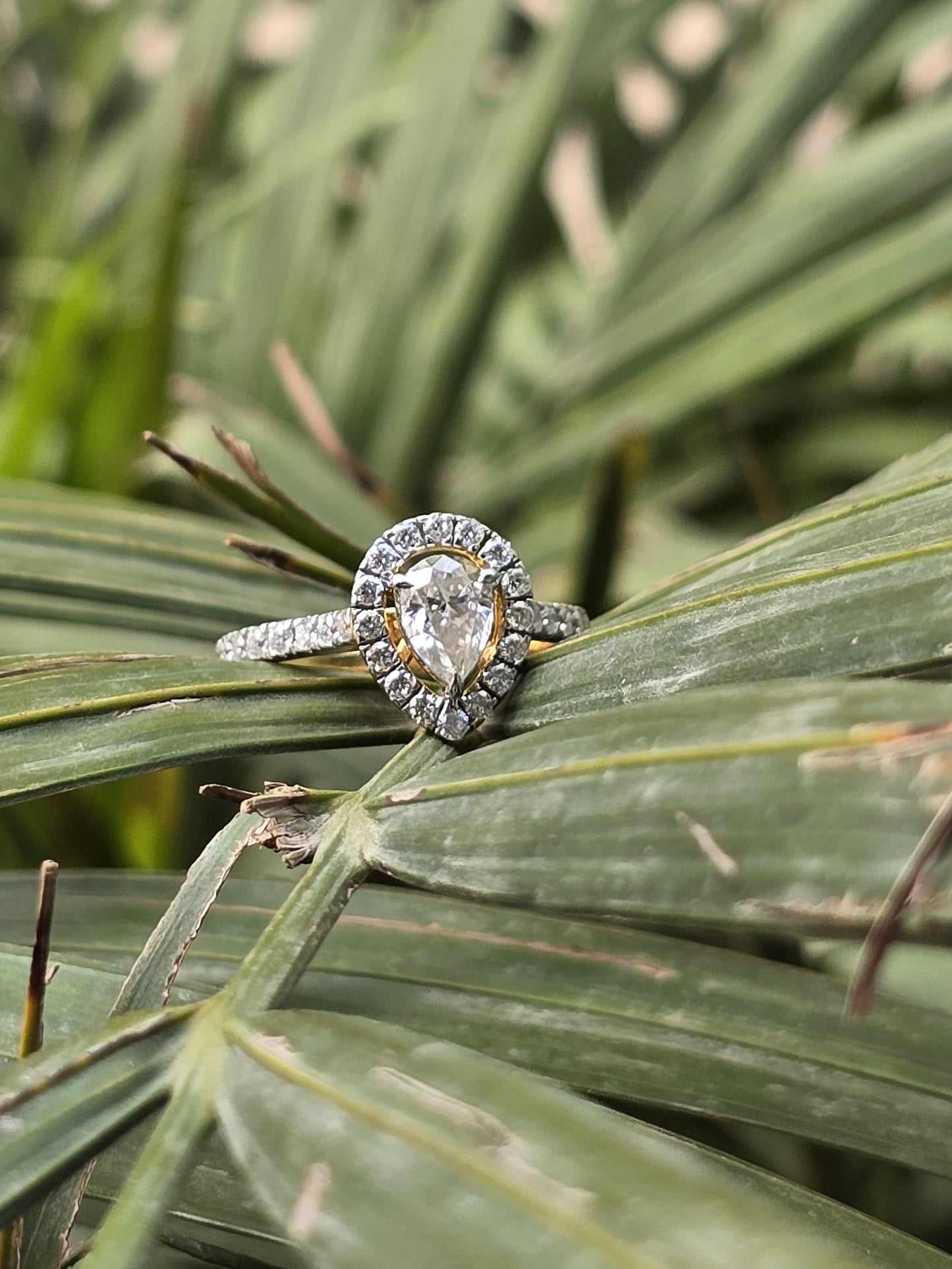 Aashna Moissanite Halo Ring - Fiona Diamonds - Fiona Diamonds