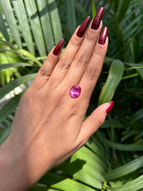 Lab Grown Pink sapphire Oval Shape 6.6ct | Exquisite Gemstones - Fiona Diamonds - Fiona Diamonds